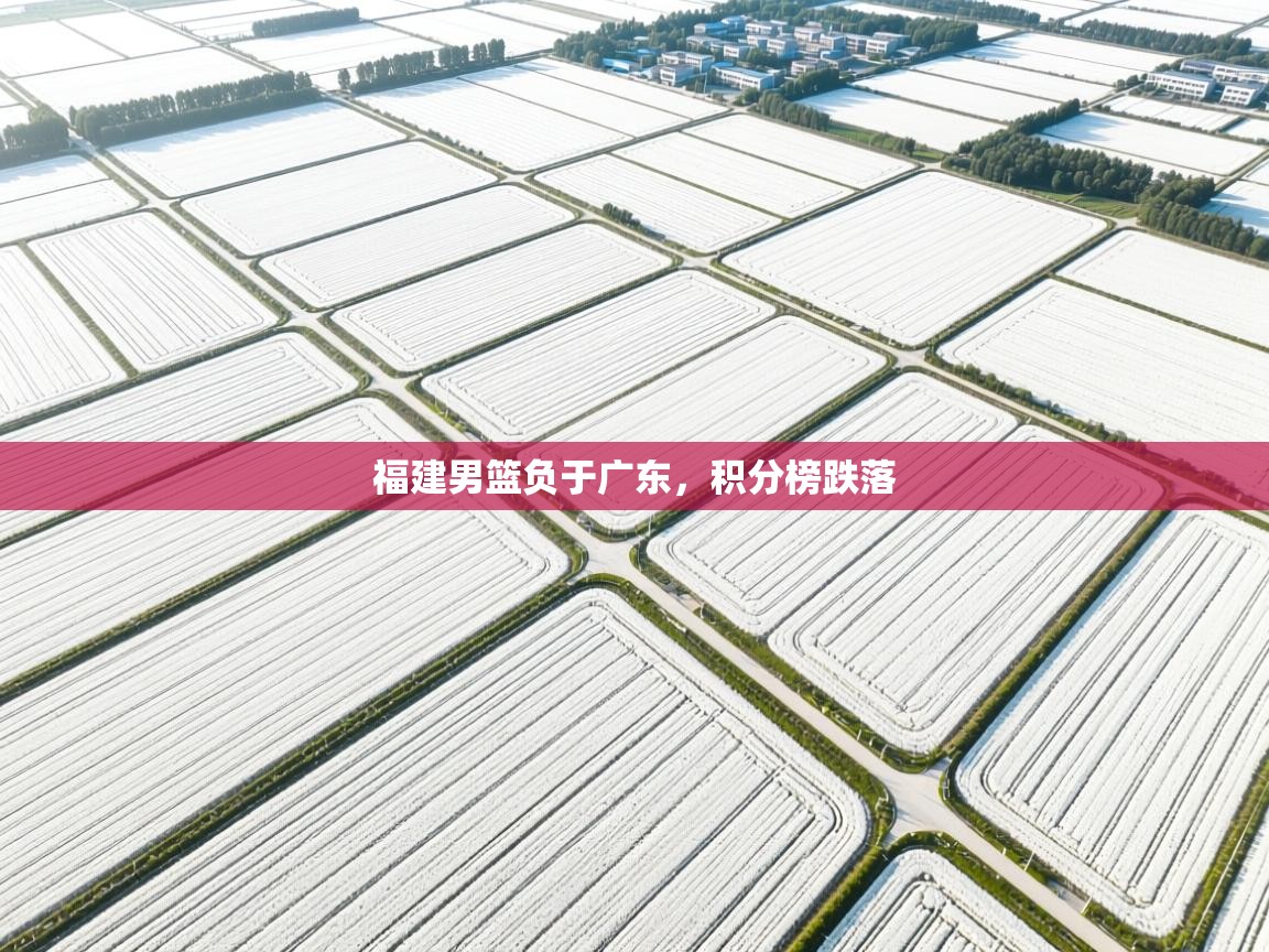 福建男篮负于广东，积分榜跌落  第2张