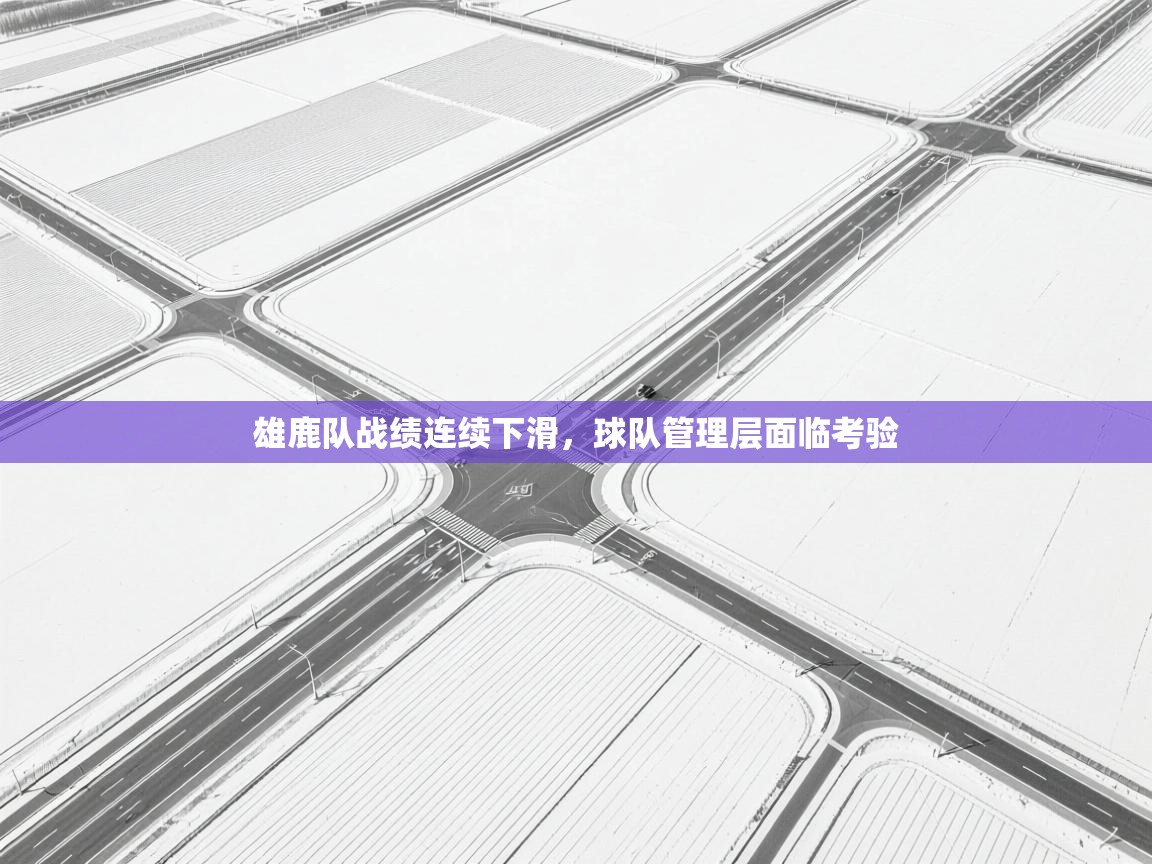 雄鹿队战绩连续下滑，球队管理层面临考验  第1张