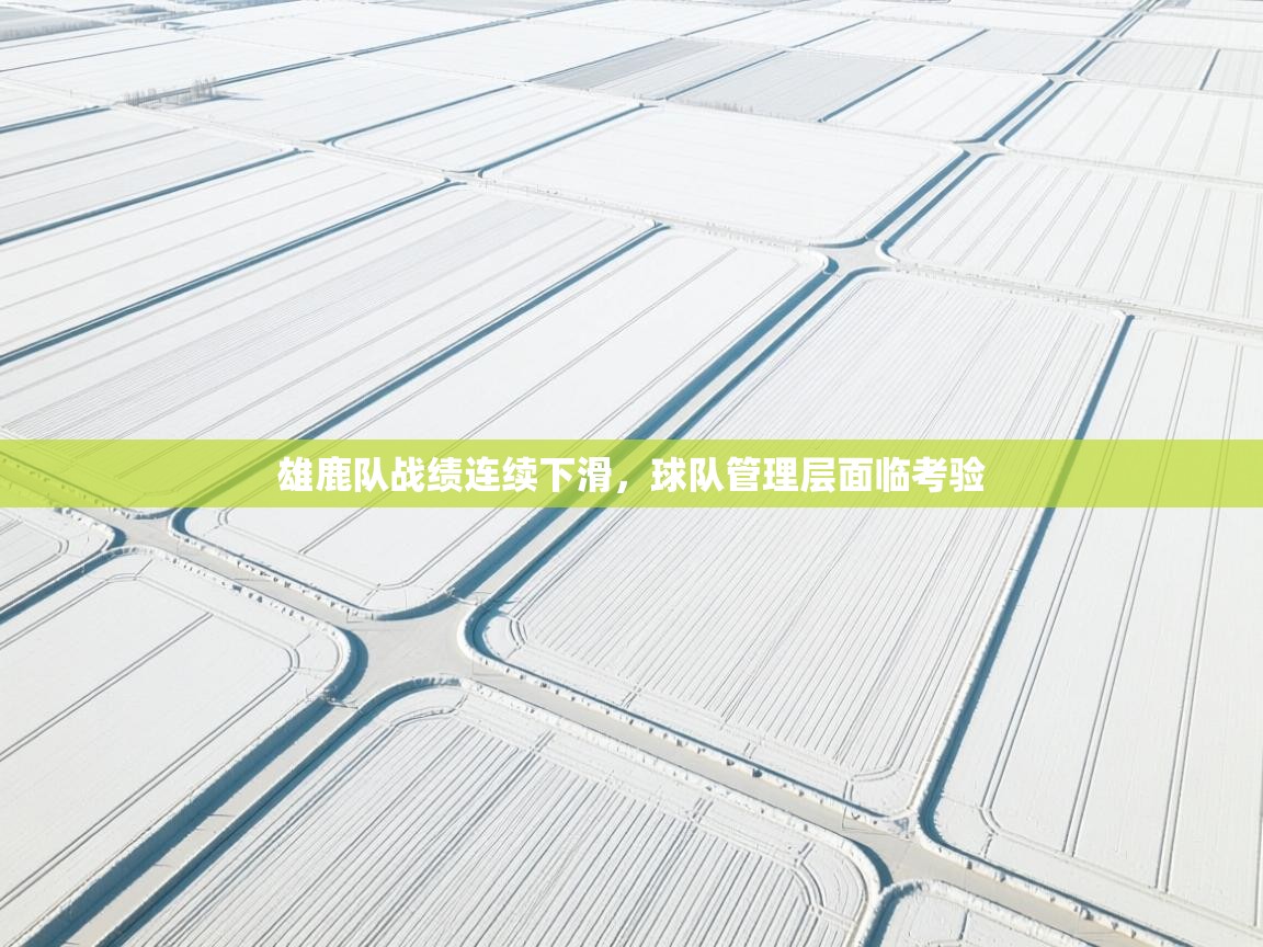 雄鹿队战绩连续下滑，球队管理层面临考验  第2张